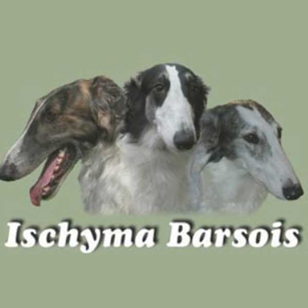 Logo-Ischyma-Barsois