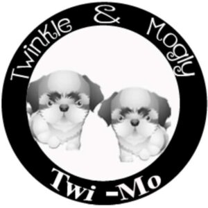 Logo-Twi-Mo